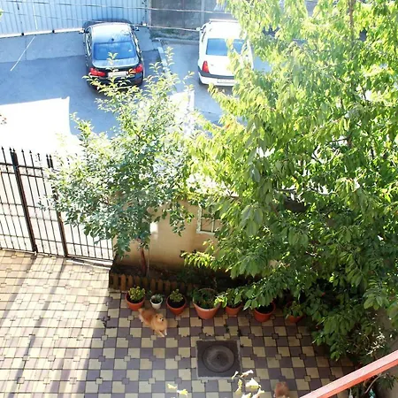 Collosal Бухарест