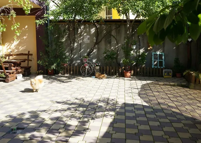 Collosal Apartment *