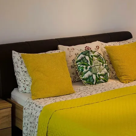 Apartment Collosal
